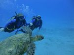 Hawaii Scuba divng 23