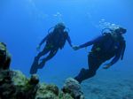 Hawaii Scuba divng 26