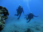 Hawaii Scuba divng 27