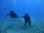 Hawaii Scuba divng 31