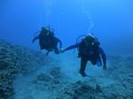 Hawaii Scuba divng 32