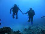 Hawaii Scuba divng 34