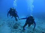 Hawaii Scuba divng 35