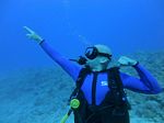 Hawaii Scuba divng 37