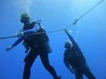 Hawaii Scuba divng 38