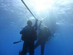 Hawaii Scuba divng 42