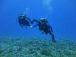 Hawaii Scuba divng 06