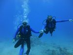 Hawaii Scuba divng 73