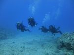 Hawaii Scuba divng 74