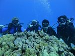 Hawaii Scuba divng 75