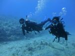 Hawaii Scuba divng 76