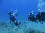 Hawaii Scuba divng 82