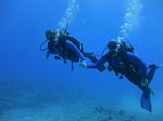 Hawaii Scuba divng 83