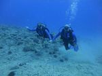 Hawaii Scuba divng 87