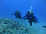 Hawaii Scuba divng 89