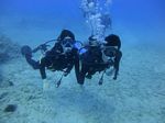 Hawaii Scuba divng 90