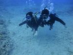 Hawaii Scuba divng 91