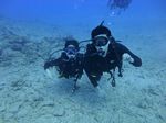 Hawaii Scuba divng 92