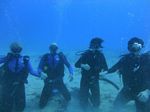 Hawaii Scuba divng 94