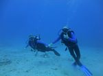 Hawaii Scuba divng 09