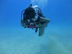 Hawaii scuba 11