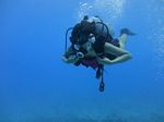 Hawaii scuba 24