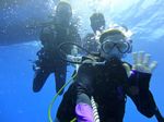 Hawaii Scuba divng 11