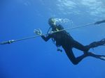 Hawaii Scuba divng 12