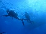 Hawaii Scuba divng 13