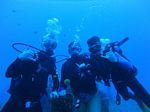 Hawaii Scuba divng 17