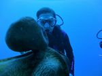 Hawaii Scuba divng 20