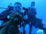 Hawaii Scuba divng 21