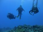 Hawaii Scuba divng 34