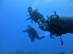 Hawaii Scuba divng 35