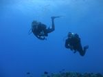 Hawaii Scuba divng 36