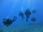 Hawaii Scuba divng 37