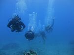 Hawaii Scuba divng 39