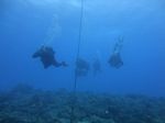 Hawaii Scuba divng 40