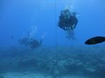 Hawaii Scuba divng 41