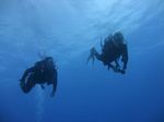 Hawaii Scuba divng 42