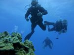 Hawaii Scuba divng 45