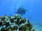 Hawaii Scuba divng 48