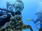 Hawaii Scuba divng 49