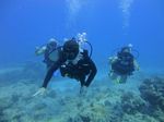 Hawaii Scuba divng 19