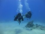 Hawaii Scuba divng 20