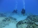 Hawaii Scuba divng 24