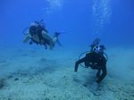 Hawaii Scuba divng 26