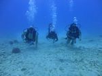 Hawaii Scuba divng 27