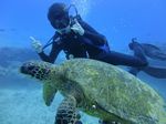 Hawaii Scuba divng 34