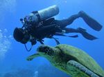 Hawaii Scuba divng 36